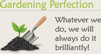 We aim for perfection in every job we take on